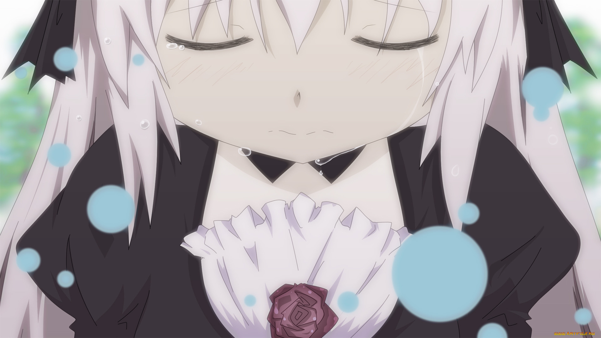 , rozen maiden, , suigintou, rozen, maiden, , 